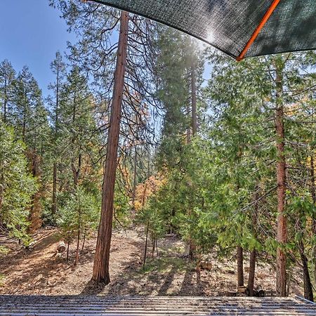 Quiet Twain Harte Cabin With Deck And Forest Views! Bagian luar foto